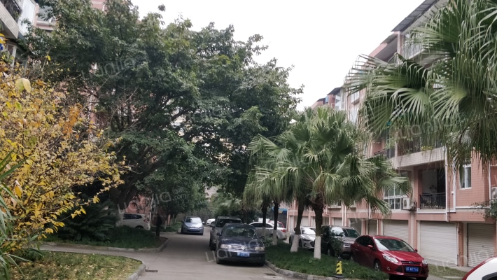 旌湖佳苑B区外景图