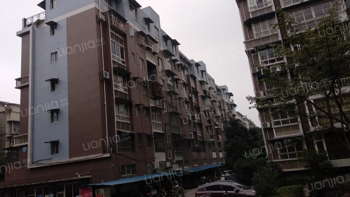 齐乐名岛外景图