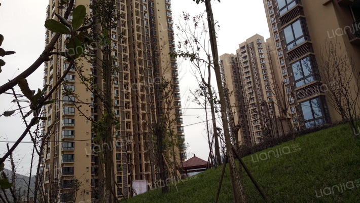 金华丽苑外景图