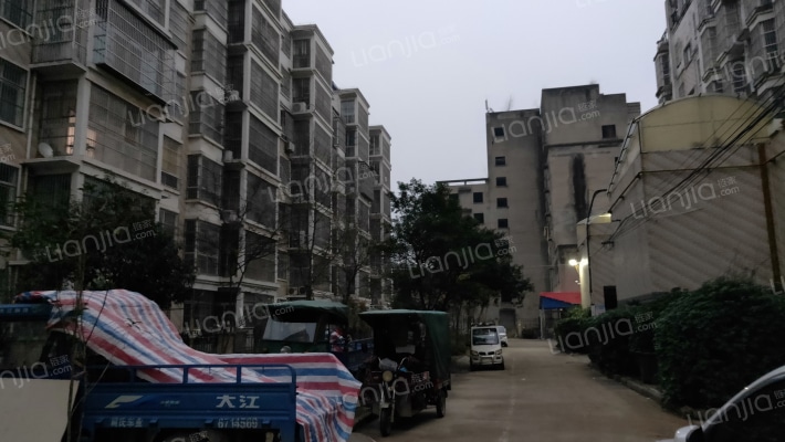 金港湾花苑外景图