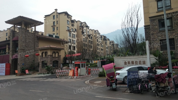 金科维拉庄园一期外景图