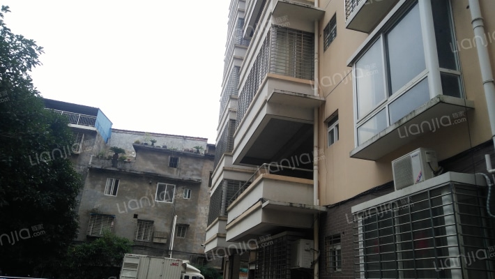 展卓志玲康城外景图