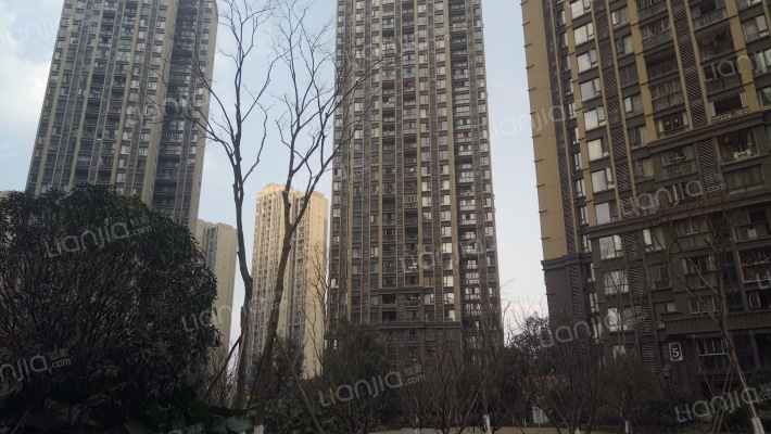 哈佛公馆外景图