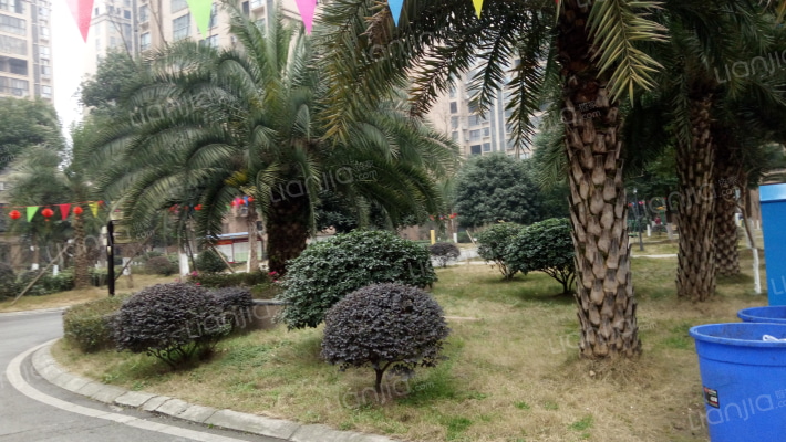 江东国际外景图