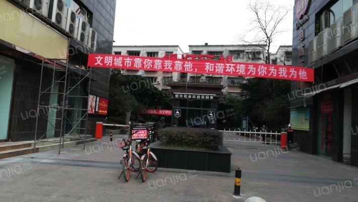 银河丽都外景图