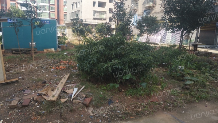 花园人家外景图