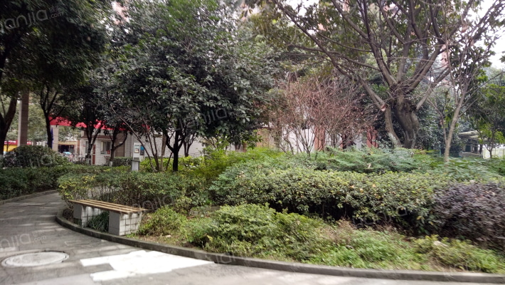 龙城花园西苑外景图