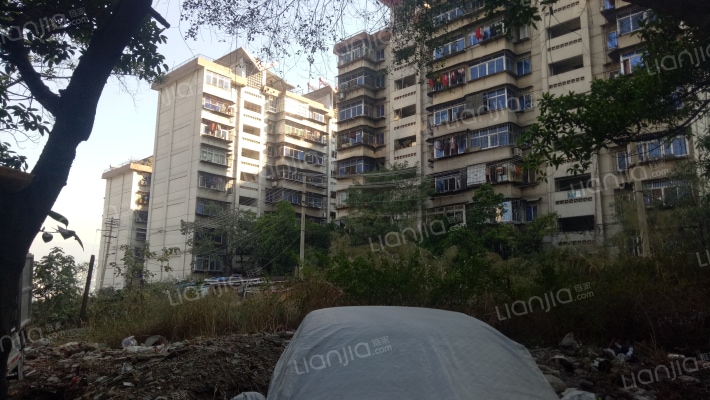 九附二攀钢小区外景图