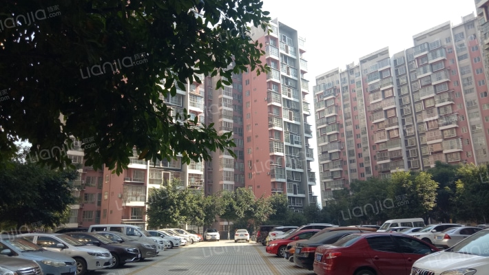 宝鼎金沙外景图