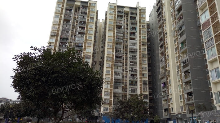 东城明珠A区外景图