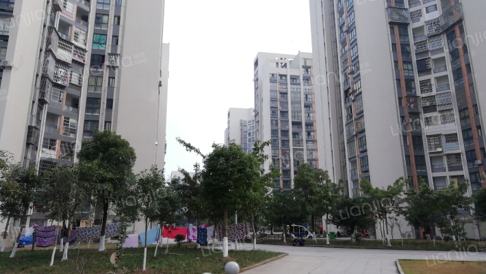 双河口征地还房小区A区外景图