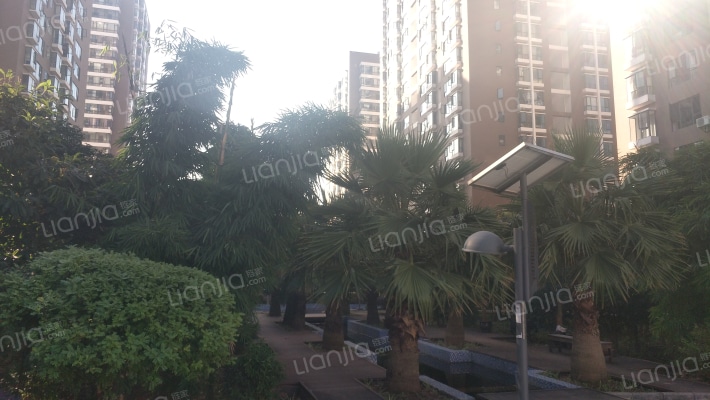 良城美景外景图