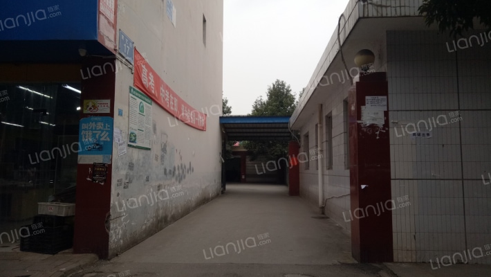 启明星一期外景图