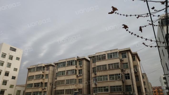 农行家属院西区外景图