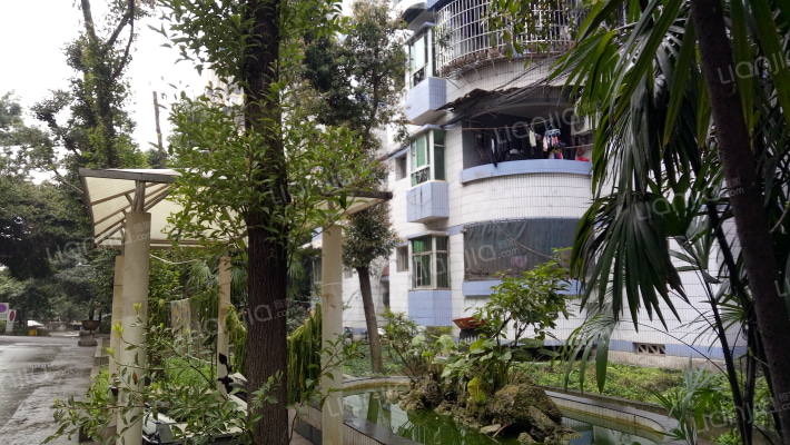 望江党政住宅小区外景图