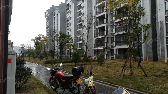 万柳一品外景图