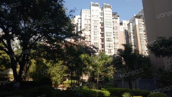 蓝湖社区外景图