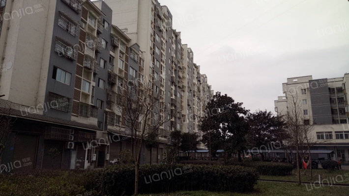 东城明珠B区外景图