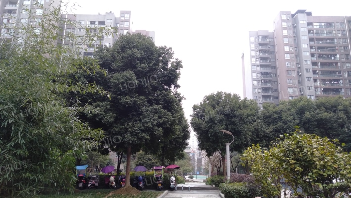 黔龙阳光大院西院外景图