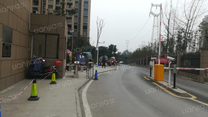 成众上品外景图