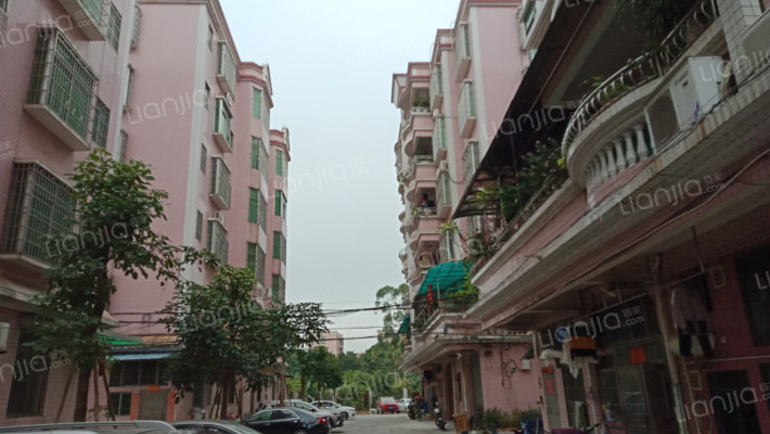 新南公寓小区外景图