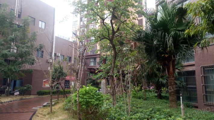 宏坤中央公园外景图