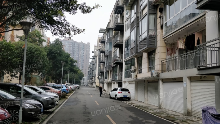 鲁能南域中央外景图