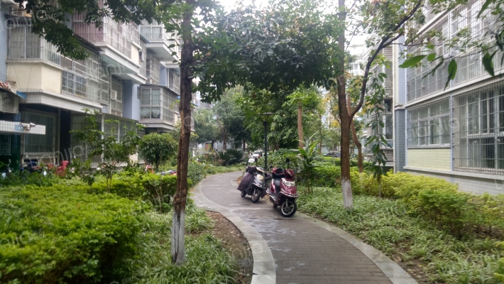 河滨印象外景图