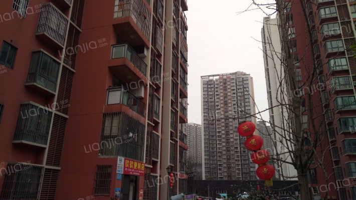 义乌鑫城西区外景图