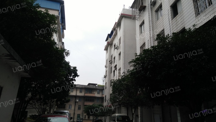 灵青路15号外景图