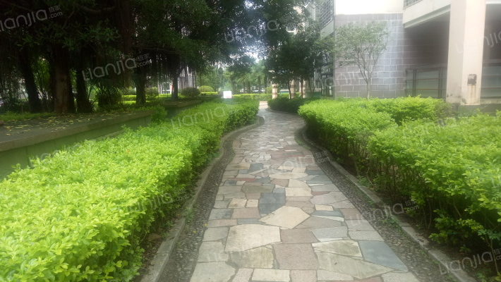 泗洲湾花园外景图