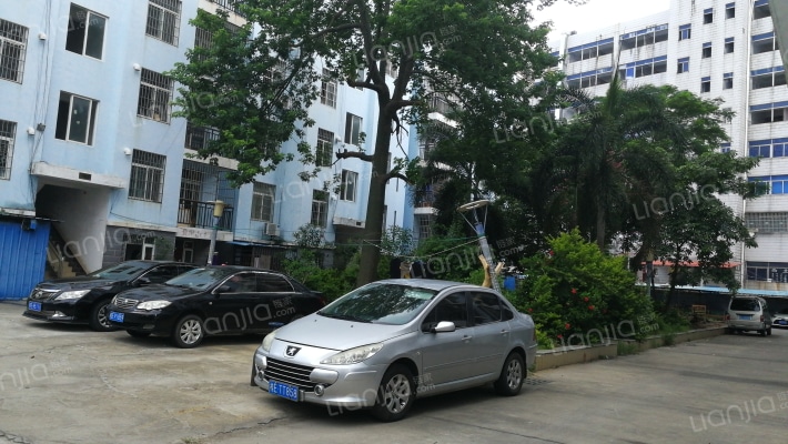 中发花园外景图