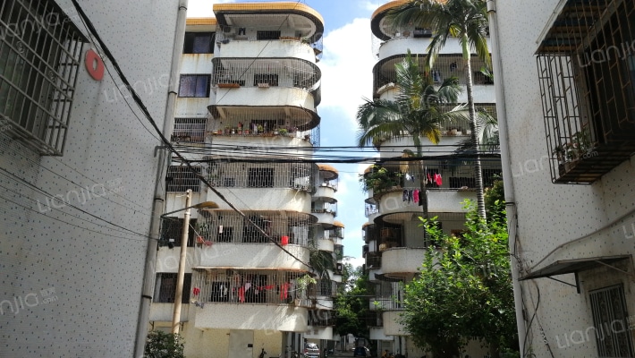 国税小区外景图