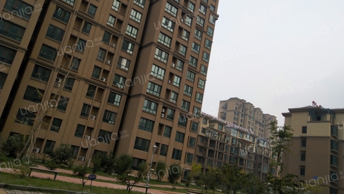 锦泰玫瑰园外景图