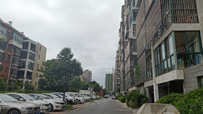 江南新城华苑外景图