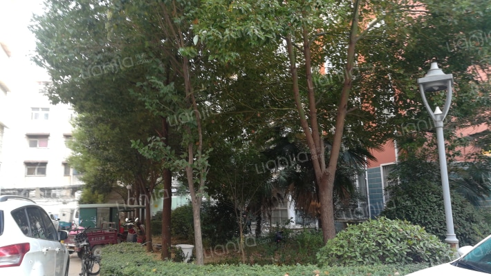 力源东方明珠外景图