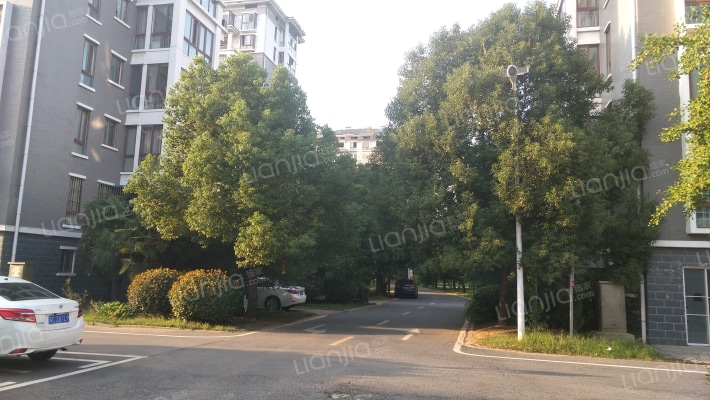 鑫惠花园中区外景图