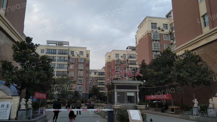 百合春天外景图