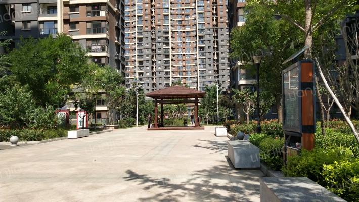 河南杨头外景图