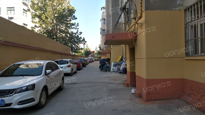 橡胶厂家属院外景图