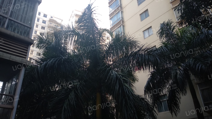 恒大苹果园·金色阳光外景图