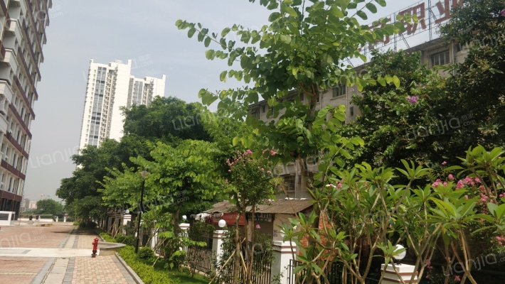 中旭上下外景图