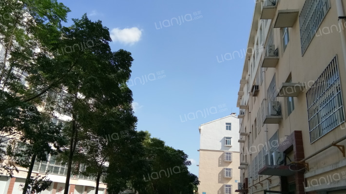 盛世花都外景图