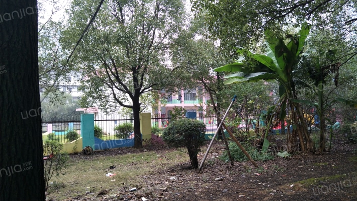 向红新村外景图