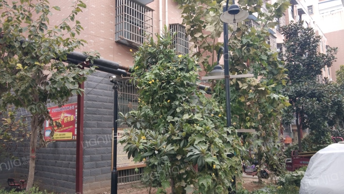 丽景嘉园外景图