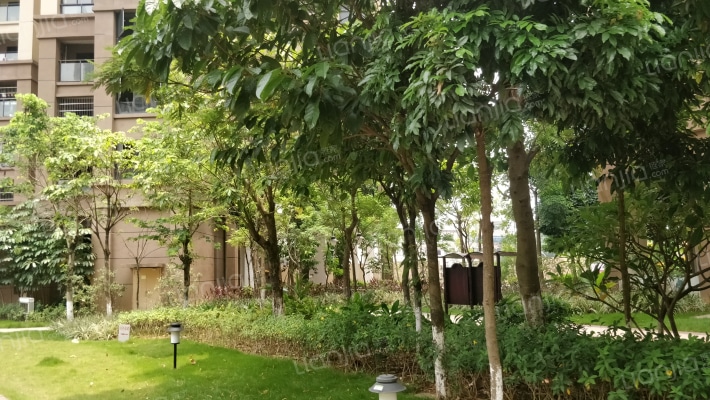 中房·新天地外景图