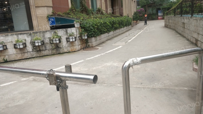 龙园豪宅外景图