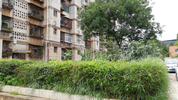 有色地质局生活区外景图