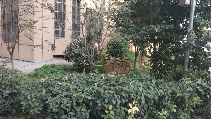 林苑小区外景图