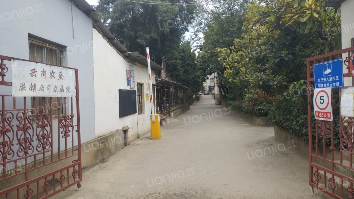 云南农垦供销公司家属院外景图